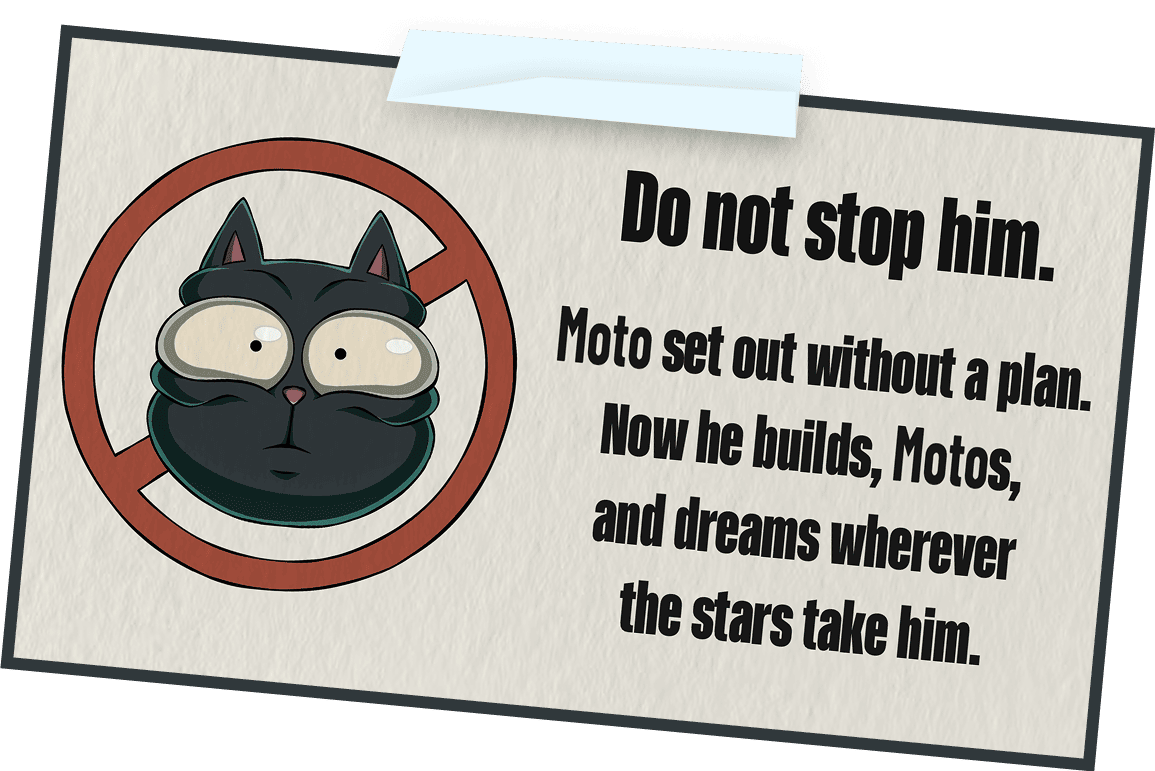 stop cat